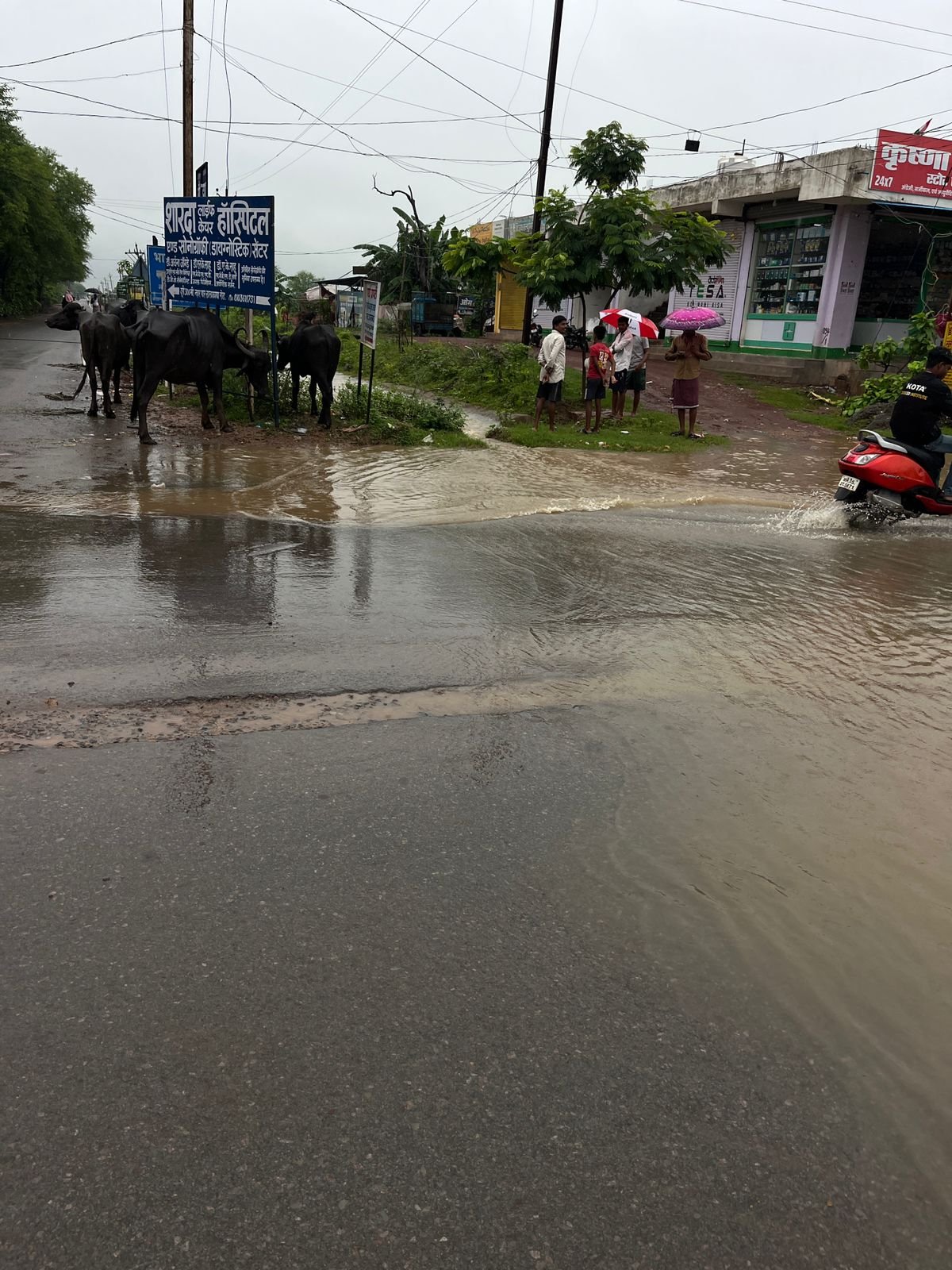 लगातार बारिश से मुंगेली-बिलासपुर रोड नहर ओवरफ्लो, घरों में घुसा पानी
